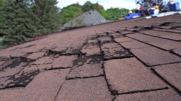 4 Ply Roofing in Van Wert, OH